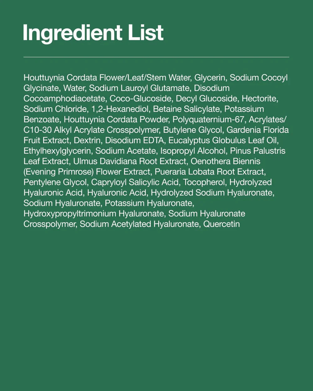 Heartleaf Quercetinol Pore Deep Cleansing Foam